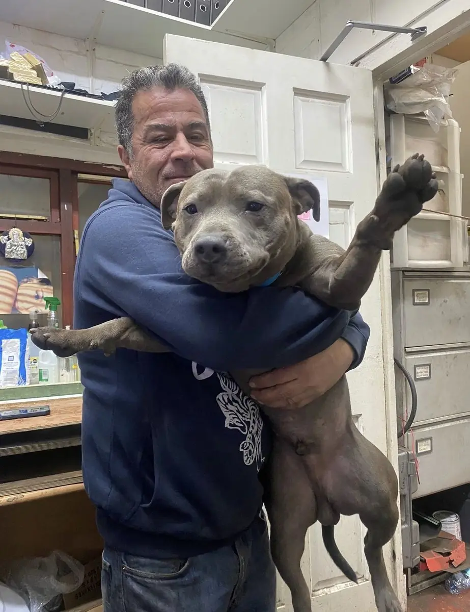 A White Rose Motors mechanic with the workshop dog